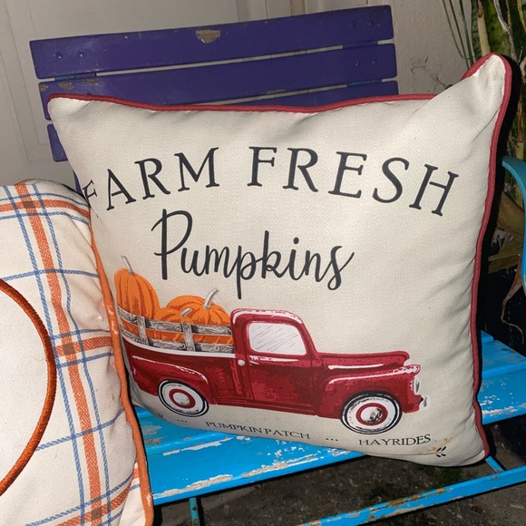 3 Really Cool NOSTALGIC Throw Pillows - Picture 4 of 4